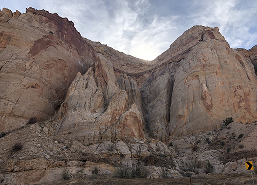 Infection: The Uninvited Universe