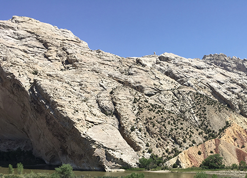 Infection: The Uninvited Universe