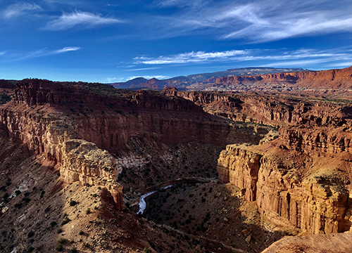 Infection: The Uninvited Universe