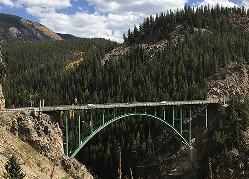 Infection: The Uninvited Universe