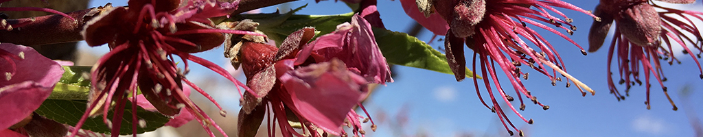 Between XX and XY: Intersexuality and the Myth of Two Sexes