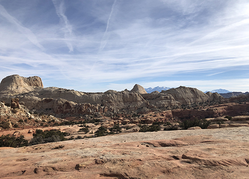 Between XX and XY: Intersexuality and the Myth of Two Sexes