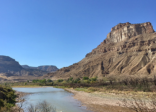 Between XX and XY: Intersexuality and the Myth of Two Sexes