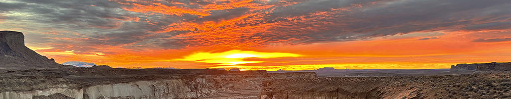 Faith, Madness, and Spontaneous Human Combustion: What Immunology Can Teach Us About Self-Perception