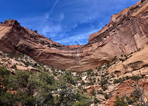 Faith, Madness, and Spontaneous Human Combustion: What Immunology Can Teach Us About Self-Perception Chimera