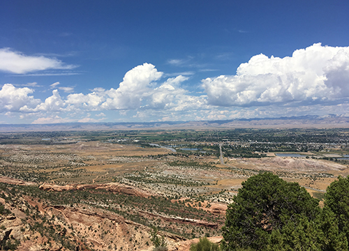 Faith, Madness, and Spontaneous Human Combustion: What Immunology Can Teach Us About Self-Perception Chimera