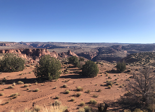 Faith, Madness, and Spontaneous Human Combustion: What Immunology Can Teach Us About Self-Perception Chimera