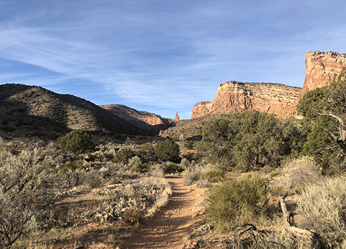 Faith, Madness, and Spontaneous Human Combustion: What Immunology Can Teach Us About Self-Perception Chimera