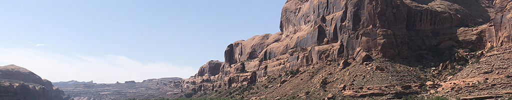 Infection: The Uninvited Universe