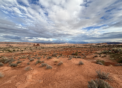 Infection: The Uninvited Universe