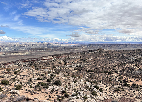 Infection: The Uninvited Universe