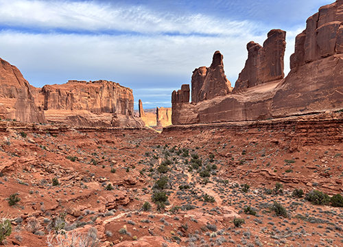 Lousy Sex: Creating Self in an Infectious World