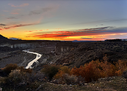 Lousy Sex: Creating Self in an Infectious World