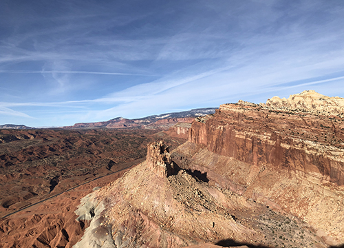 Lousy Sex: Creating Self in an Infectious World