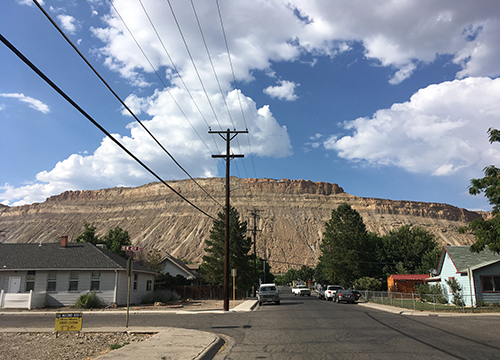 Lousy Sex: Creating Self in an Infectious World