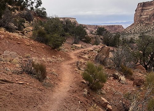 River Odyssey: A Story of the Colorado Plateau