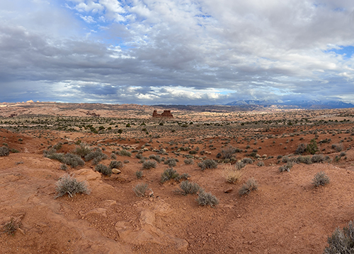 Gerald Callahan Unpublished: Me First (and Last): Selfish Stories