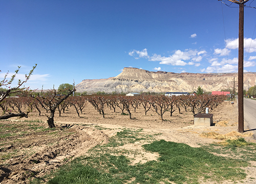 Gerald Callahan Unpublished: Me First (and Last): Selfish Stories