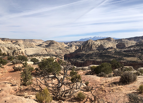 Gerald Callahan Unpublished: Me First (and Last): Selfish Stories